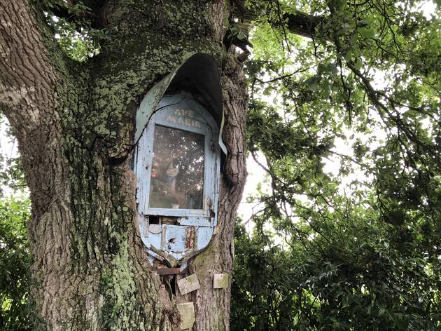 le chene de notre dame de la chauviere